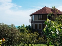Гостевой дом «Villa Familia» фото 36