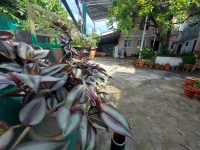 Гостевой дом «Мила» фото 13