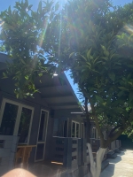 Мини-гостиница «Daniella» фото 55