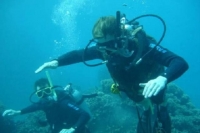 Гостевой дом «Маяк» фото 19