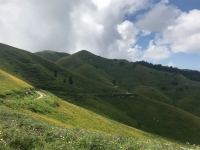 Природа Абхазии. Альпийские луга