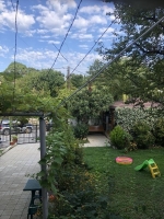 Гагра Частный дом «У Анжелики» фото