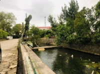 Частный дом «У Анжелики» фото 10