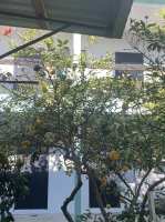 Частный сектор ул. Октябрьская, 71 фото 8