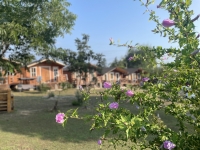 Эко-коттеджи ул. Шаумяна - дом под ключ