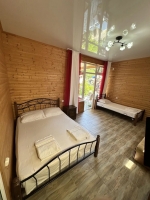 Мини-отель «Бамбучо» - номер 2-3-4Х местный Комфорт фото 13