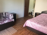 Гостевой дом «Сария» - номер 3Х местный Стандарт фото 5