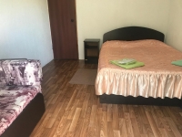 Гостевой дом «Сария» - номер 3Х местный Стандарт фото 3