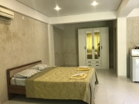 Гостевой дом «Сария» - номер Студия с кухней фото 2