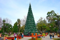 Новый год в Сухуме