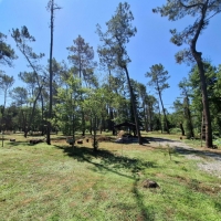 Гостевой дом «Сосновая роща» фото 12