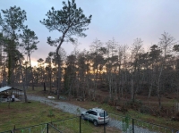 Гостевой дом «Сосновая роща» фото 13