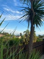 Гостевой дом «Вилла Блюз» фото 15