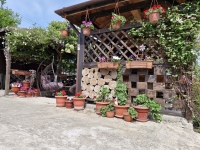 Гостевой дом «У Тамары» фото 9