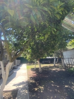 Мини-гостиница «Daniella» фото 71