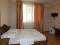 Гостевой дом «У дед Самвела» - номер Люкс 2-х местный фото 3