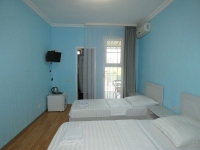 Гостевой дом «У дед Самвела» - номер Люкс с раздельными кроватями фото 2