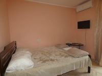 Гостевой дом «Арарат» - номер 3Х местный «Стандарт» фото 5