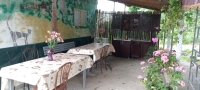 Гостевой дом «Мандариновый рай» фото гостевой дом
