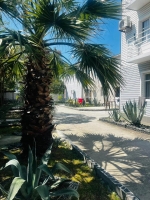 Гостевой дом «Алокси» фото 8