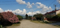 Вид нашей цветущей улицы и дома (справа)