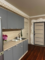 1-Комнатная квартира студия ул. Аграба, 24/2