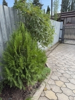 Гостевой дом «Асас» фото 7