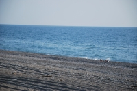 Пляж поселка Алахадзы