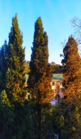 1-Комнатная квартира ул. Агрба, 5/1 фото 7