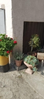 3-Х комнатная квартира ул. Генерала Аршба, 15 фото 11