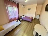 Частный сектор ул. Октябрьская, 71 - номер Стандарт 3-х местный фото 7