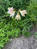 Гостевой дом на Приморской, 40 фото гостевой дом