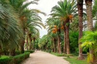 Гагра что посмотреть и куда сходить