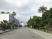 Сухум что посмотреть и куда сходить