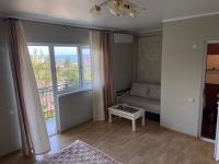 Гостевой дом ул. Ардзинба, 14 фото 10