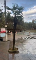 Гостевой дом «Уют» фото 14