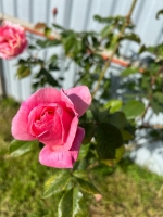 Дом под ключ «Aframe» фото 12