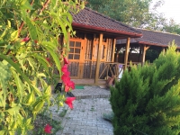 Гостевой дом «Сария» фото гостевой дом
