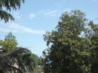 Гостевой дом «Mira&Slava» фото 9