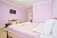 Мини-гостиница «Лето» - номер 2 Местный дабл стандарт фото