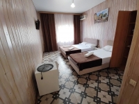 Гостевой дом «Family» - номер Люкс без балкона 1 этаж фото 3