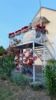 Гостевой дом «VILLA-DANA» фото 7