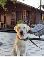 Коттеджный комплекс «Александра» фото 10