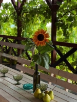 Эко-коттедж «Домик в деревне» фото 16