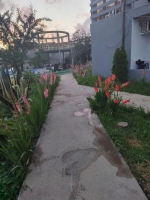 Гостевой дом «Family» фото 6