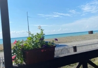 Гостиница «Белая лебедь» - номер С террасой и видом на море фото 15