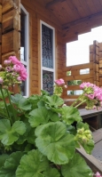Деревянные домики 1-й переулок ул. Лакоба, 18 фото 12