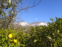 Гостевой дом «Уют» фото 15