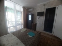 Гостевой дом «Siberia» - номер Номер 3х местный фото 3