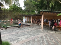 Кындыгские термальные источники Абхазии